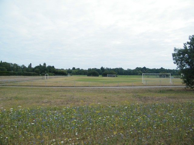 Terrain de Foot en herbe à Port-Saint-Père