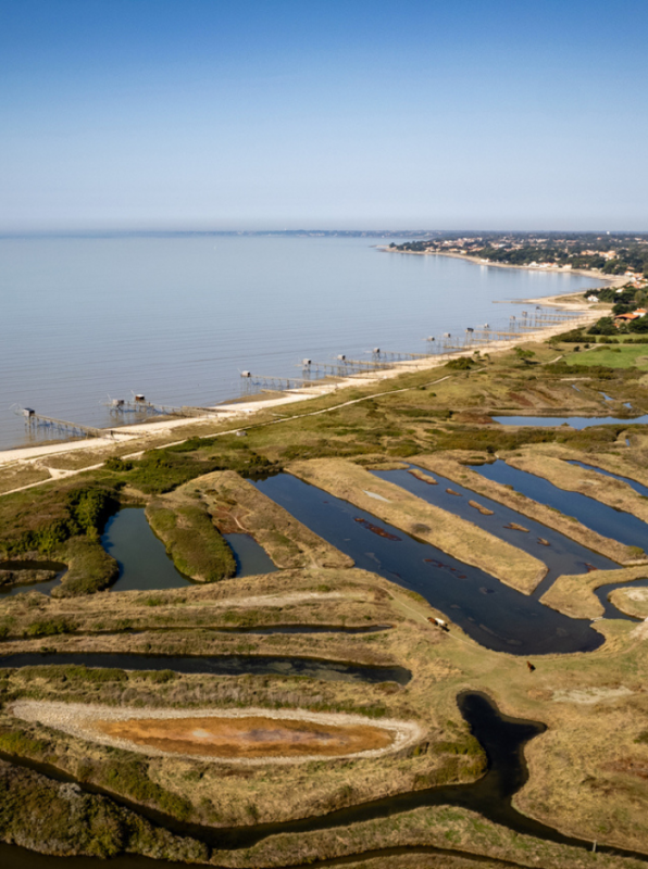 Marais au bord de l'océan