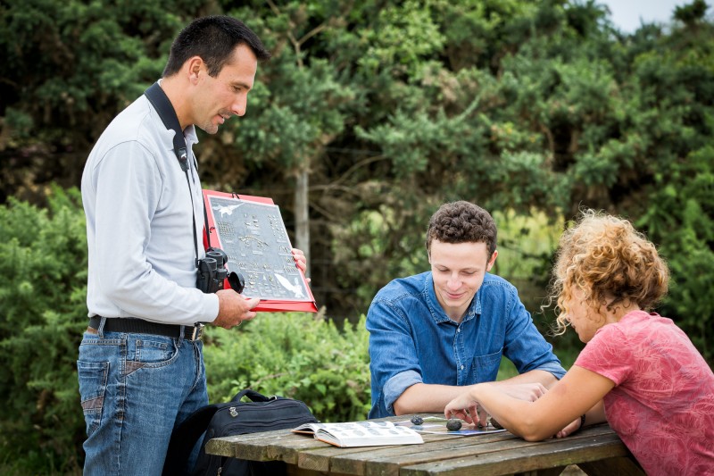 guided tours prefailles visit prefailles regional nature reserve