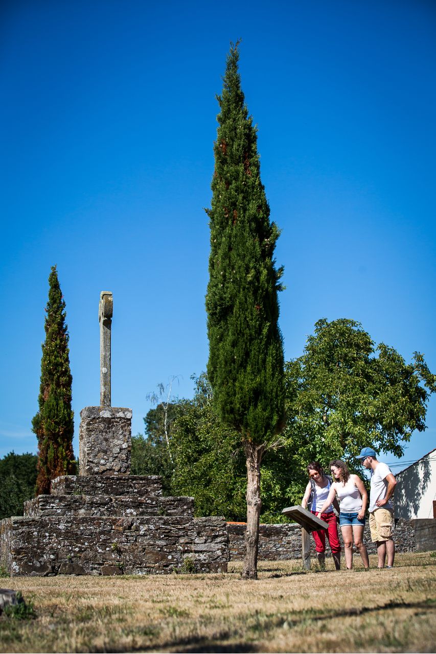 marais bocage biodiversité cigognes faune et flore histoire - © Mélanie Chaigneau