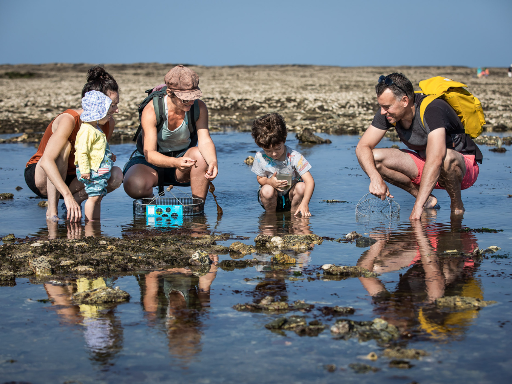 Pêche à pied - &copy; Mélanie Chaigneau