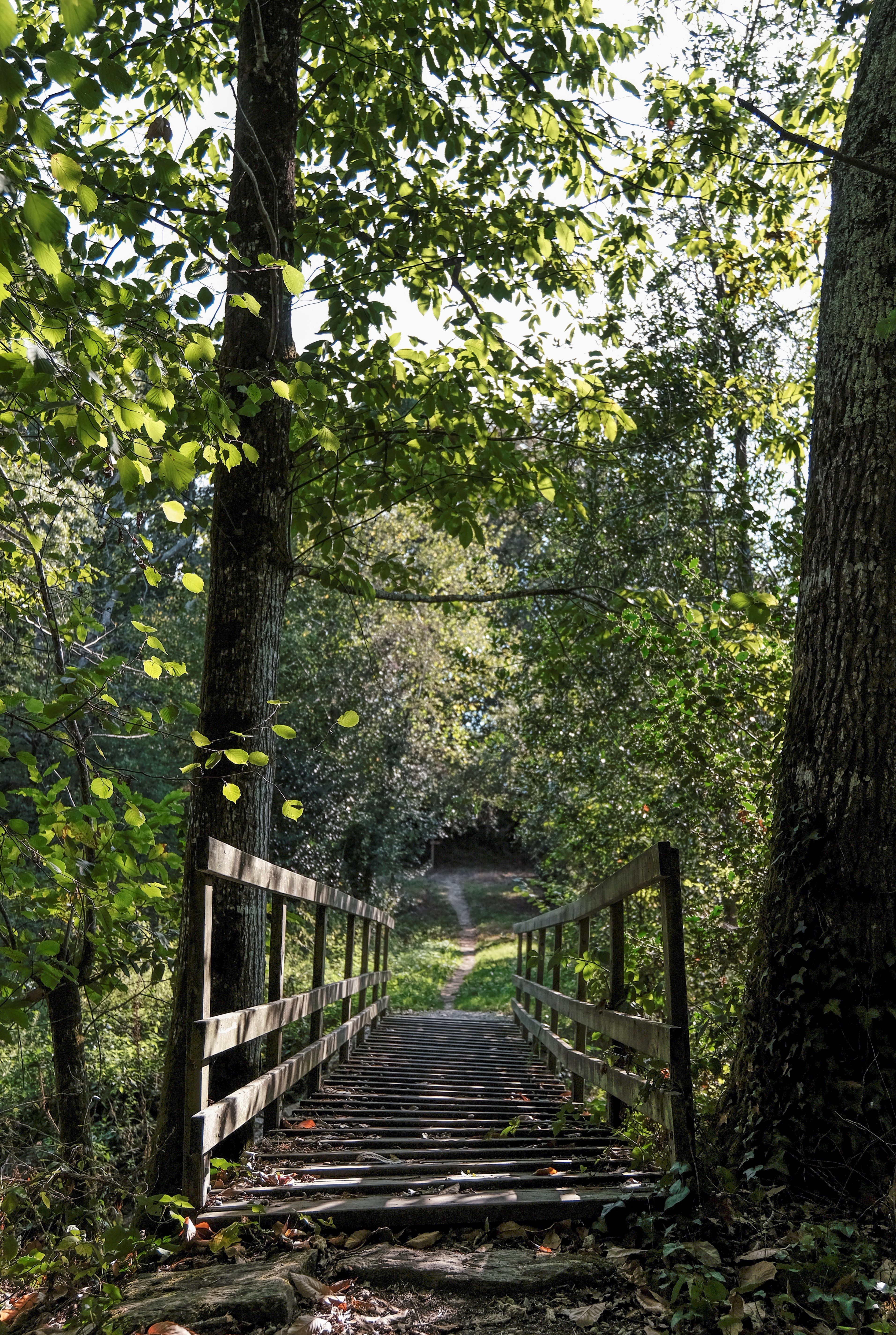 Die verzauberten Inseln in Chaumes-en-Retz - &copy; Damien Dufour