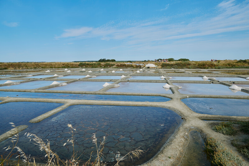 Terre de sel Guérande paludiers - &copy; DR