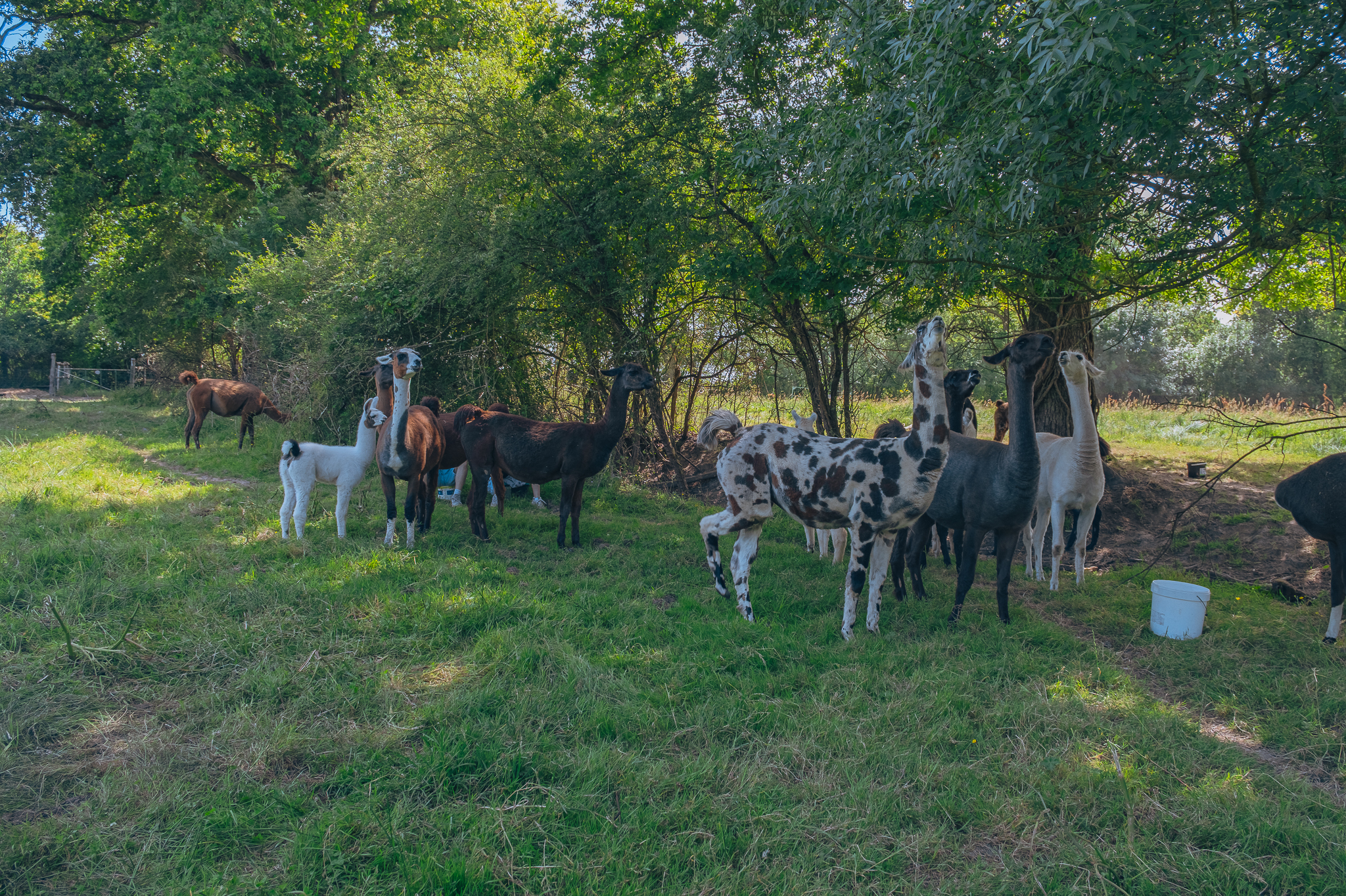 L'écrin de la Belle étoile - &copy; Sylvain Ma Vie en Loire-Atlantique