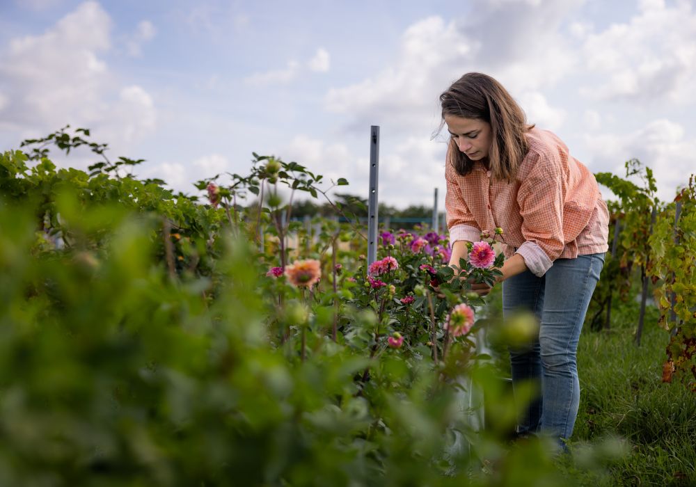 Visites d'entreprises ferme jardin tourisme savoir-faire - &copy; Mélanie Chaigneau