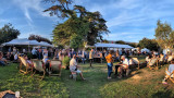 Ambiance dans le public