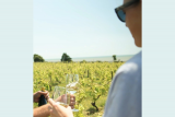 Atelier : assemblez votre propre vin