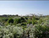 atelier création de jardin-fôret Pornic
