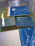 ATELIER CYANOTYPE PARENTS-ENFANTS - Préfailles