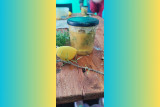 atelier eco responsable compote automne sirop maux hiver atelier de maia la vague eco creative prefailles salle rene deffain