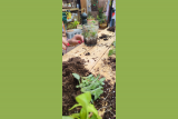 Atelier éco-responsable : terrarium