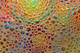 Atelier enfant 4 à 7 ans - Tableau bulle des fonds marins