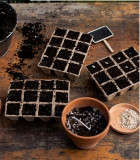 Workshop: Growing Your Own Seeds in Pornic