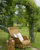 Atelier vannerie - Tontine pour les plantes grimpantes