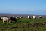 Balade autour de la Fontaine aux Moutons Pornic