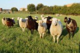 Spaziergang um die Fontaine aux Moutons Pornic Meer und Strand