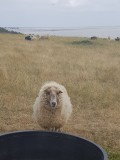Balade autour de la Fontaine aux Moutons
