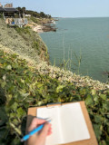Balade dessinée, faune et flore, paysage, initiation dessin, Pornic, bord de mer