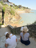 Balade dessinée, faune et flore, paysage, initiation dessin, Pornic, bord de mer