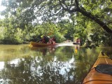 Balade en kayak sur le Canal de Haute-Perche