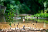 jardin partagé porte ouverte nature jardin bio bourgneuf fresnay saint cyr villeneuve en retz