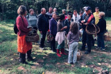Mushroom picking, Destination Pornic, Hirondelle, Events Saint-Michel-Chef-Chef