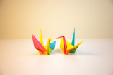 Atelier multi activité