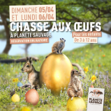 Chasse aux oeufs à Planète Sauvage