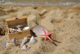 Chasse aux trésors sur la plage des Moutiers