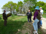 Chauvé menhirs des platennes