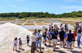 Circuit découverte en petit train touristique des Marais Salants de Guérande