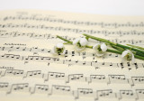 Concert Appogiature - Choeur d'Hommes