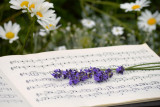 Concert de printemps du Paz Per Orchestra - Comédies musicales