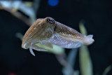 Concours de pêche 