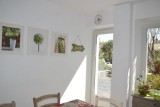 Cuisine avec porte accès terrasse et jardin - MONDE