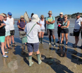 Découverte de la pêche à pied