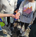 visite pêche à pied enfant, découverte coquillage, crustaces epuisette bottes