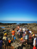 visite pêche à pied enfant, découverte coquillage, crustaces epuisette bottes