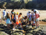 visite pêche à pied enfant, découverte coquillage, crustaces epuisette bottes