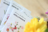 atelier carte ensemencée feuille papier graines jardin carte à offrir plaisir planter