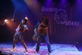 Concert Grumpy O Sheep