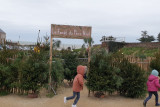 petite forêt noël préfailles destination pornic boules guirlandes magie avenue eric tabarly