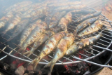 Sardinade Cercle des plaisanciers Saint-Michel-Chef-Chef Tharon-Plage