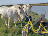 Échappée nature: Découverte de la Côte de Jade à vélo classique