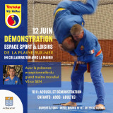 art martiel vietnamien la plaine sur mer