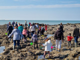 pêche à pied à la Plaine-sur-Mer sortie nature echos nature