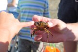 En route pour la pêche à pied avec Échos Nature