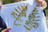 Nature workshop, Echos Nature, Nature and environment, Animations Saint-Michel-Chef-Chef