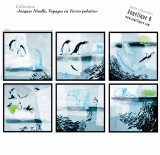 Exposition de l'artiste: 