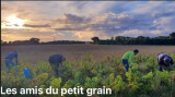 EXPOSITION: VIGNES OUBLIEES, ARTISTES A DECOUVRIR PORNIC LES MAIS DU PETIT GRAIN ET  LES ARTS EN RETZ